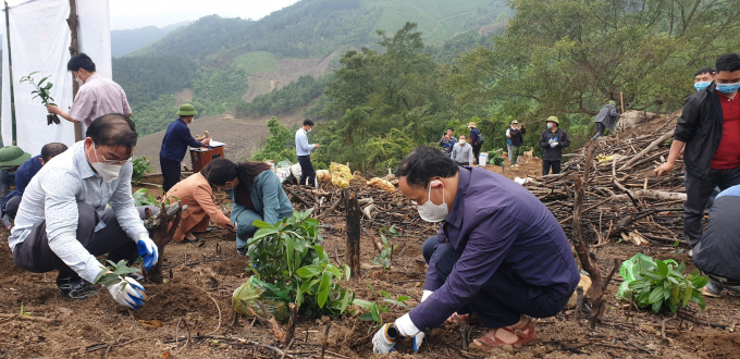 People actively participate in afforestation activities. Photo: Cuong Vu.