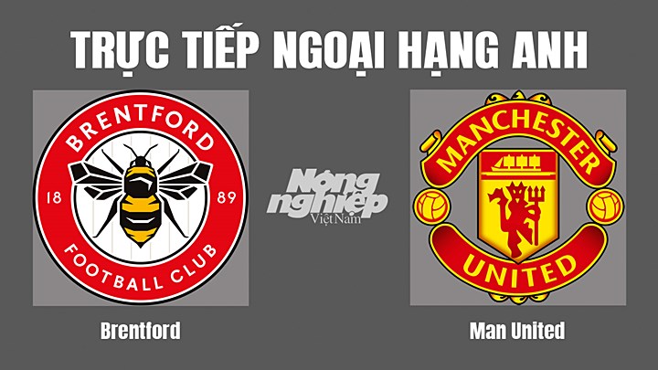 Trực tiếp bóng đá Ngoại hạng Anh giữa Brentford vs Man United hôm nay 13/8/2022