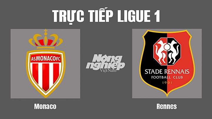 Trực tiếp bóng đá Ligue 1 giữa Monaco vs Rennes hôm nay 13/8/2022