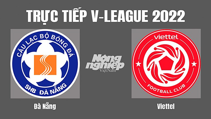 Trực tiếp bóng đá V-League (VĐQG Việt Nam) 2022 giữa Đà Nẵng vs Viettel hôm nay 14/8/2022