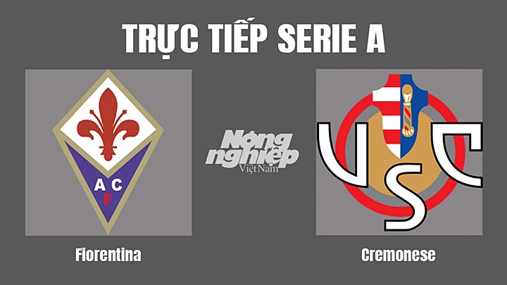 Trực tiếp bóng đá Serie A mùa giải 2022/23 giữa Fiorentina vs Cremonese hôm nay 14/8