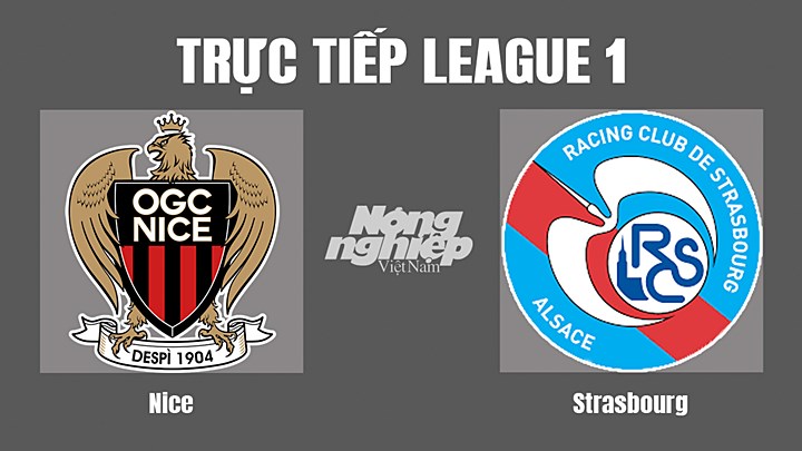 Trực tiếp bóng đá Ligue 1 giữa Nice vs Strasbourg hôm nay 14/8/2022