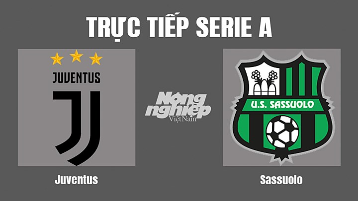 Trực tiếp bóng đá Serie A mùa giải 2022/23 giữa Juventus vs Sassuolo hôm nay 16/8