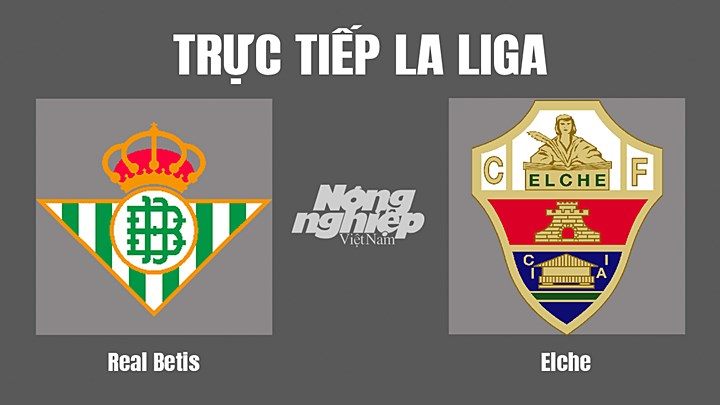 Trực tiếp bóng đá La Liga giữa Real Betis vs Elche hôm nay 16/8/2022