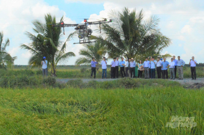 Trung An Company invested in developing large rice fields in the Long Xuyen Quadrangle. The company applies synchronous mechanization and drones as well as follows organic processes in rice production. Photo: Trung Chanh.