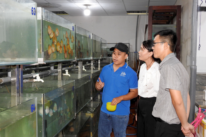 Khách tham quan khu vực nuôi cá cảnh của Công ty Cổ phần Sinh vật cảnh Thiên Đức. Ảnh: Thanh Sơn.