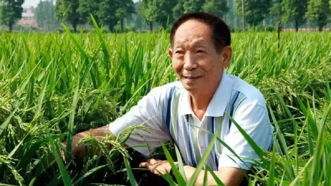 Ngoài thành tựu nghiên cứu lúa lai, ông Viên Long Bình sau này còn nghiên cứu sản xuất thử nghiệm thành công bộ giống lúa chịu mặn và kiềm trên nhiều cánh đồng ở các nước khác, và tiến bộ kỹ thuật này được coi là một giải pháp để chống lại tình trạng mất an ninh lương thực trên toàn thế giới. Ảnh: Laitimes