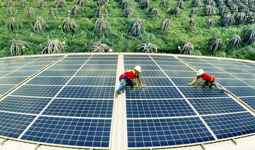 Năng lượng tái tạo ở Việt Nam chủ yếu là điện mặt trời, điện gió...