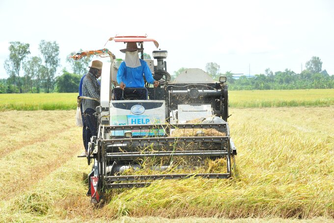 Nhiều điểm mới trong dự thảo Luật đất đai (sửa đổi). Ảnh: Lê Hoàng Vũ.