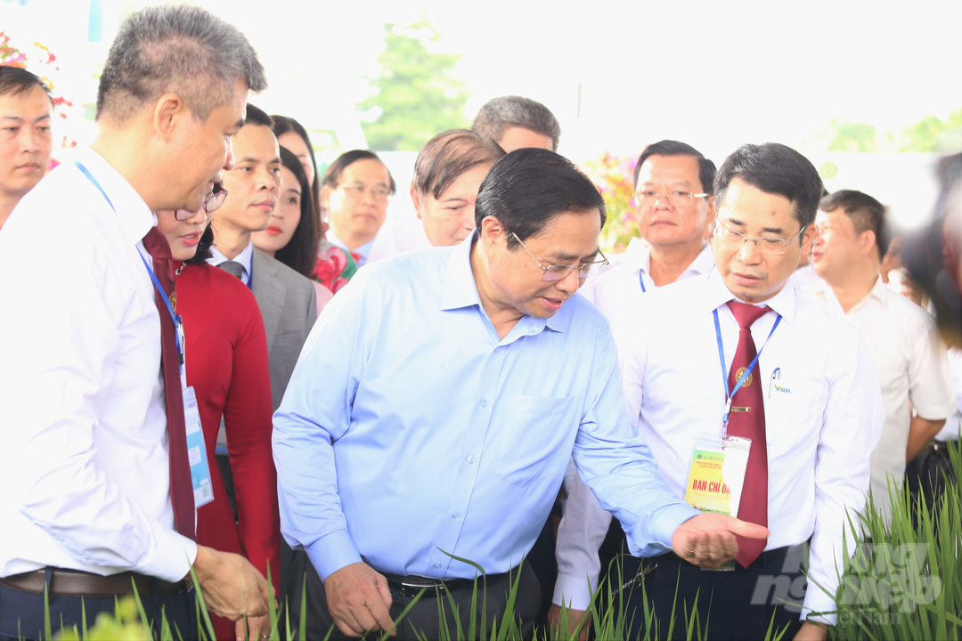 Thủ tướng Chính phủ Phạm Minh Chính thăm khu trưng bày các sản phẩm từ đề tài nghiên cứu khoa học tại Học viện Nông nghiệp Việt Nam. Ảnh: Minh Phúc.