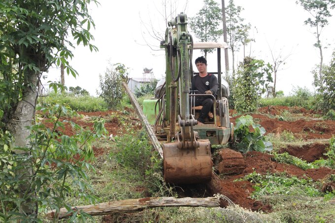 Hoàn thiện các quy định xử lý các tồn tại trong quản lý sử dụng đất nâng cao hiệu quả hoạt động của các công ty nông, lâm nghiệp. Ảnh: Hoàng Anh.