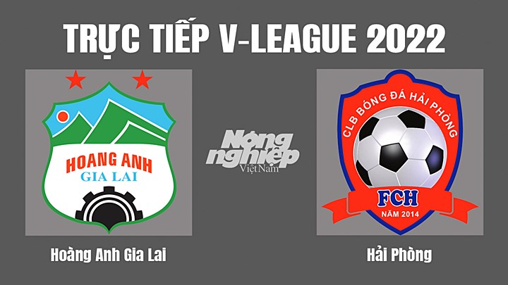 Trực tiếp bóng đá V-League (VĐQG Việt Nam) 2022 giữa HAGL vs Hải Phòng hôm nay 19/8/2022