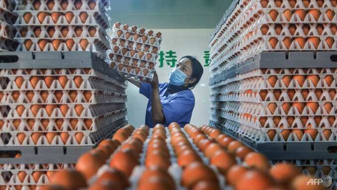 Nắng nóng đẩy giá trứng ở Trung Quốc tăng mạnh do gà đẻ ít trứng hơn. Ảnh: AFP 