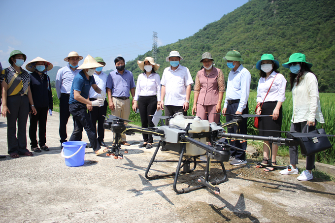 Đoàn công tác của Cục Bảo vệ thực vật kiểm tra, đánh giá khảo nghiệm phun thuốc BVTV bằng Drone trên đồng ruộng tại tỉnh Hòa Bình. Ảnh: Trung Quân.