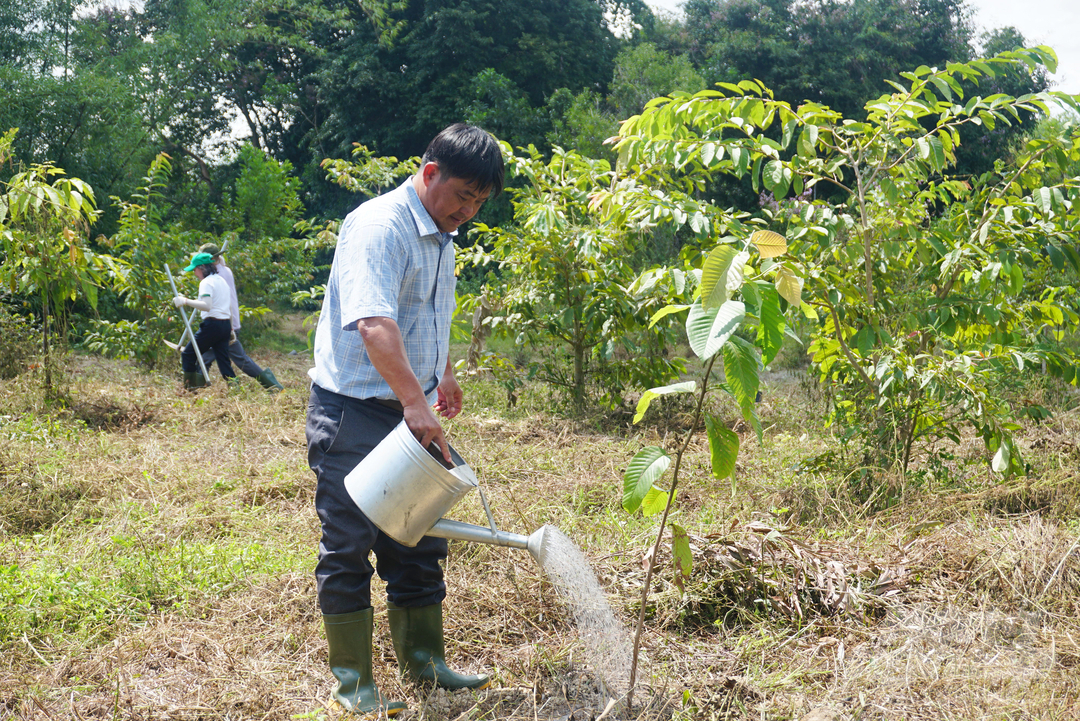 Ông Đoàn Thanh Tâm, Phó Giám đốc Khu bảo tồn sinh thái Đồng Tháp Mười tham gia trồng cây tại Khu bảo tồn văn hóa thiên nhiên Đồng Nai. Ảnh: Nguyễn Thủy.