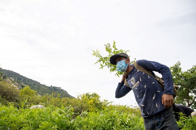 Chương trình 'Trồng rừng giữ nước 2022' do Quỹ Sống thực hiện.