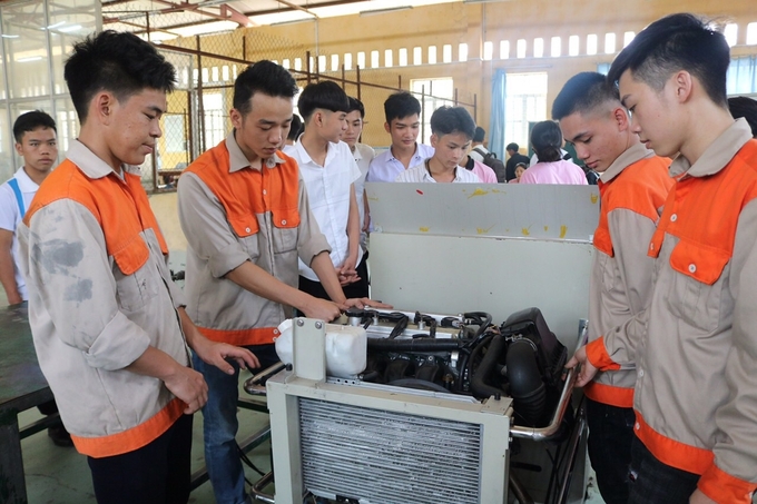 Thị trường lao động Việt Nam vẫn còn manh mún, chưa chuyên nghiệp, thiếu tính linh hoạt, chưa thật bền vững.