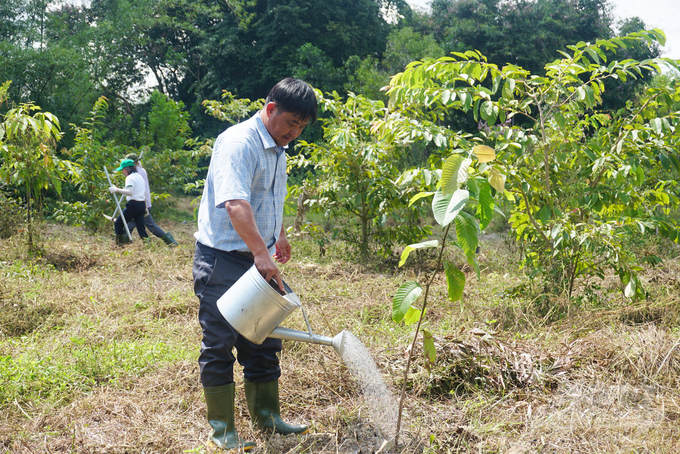 Mr. Doan Thanh Tam, Deputy Director of Dong Thap Muoi Ecological Conservation Area planting trees at Dong Nai Nature - Culture Conservation Area. Photo: Nguyen Thuy.