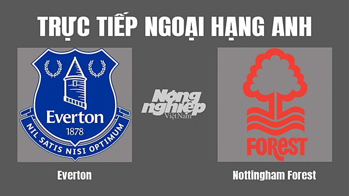 Trực tiếp bóng đá Ngoại hạng Anh giữa Everton vs Nottingham hôm nay 20/8/2022