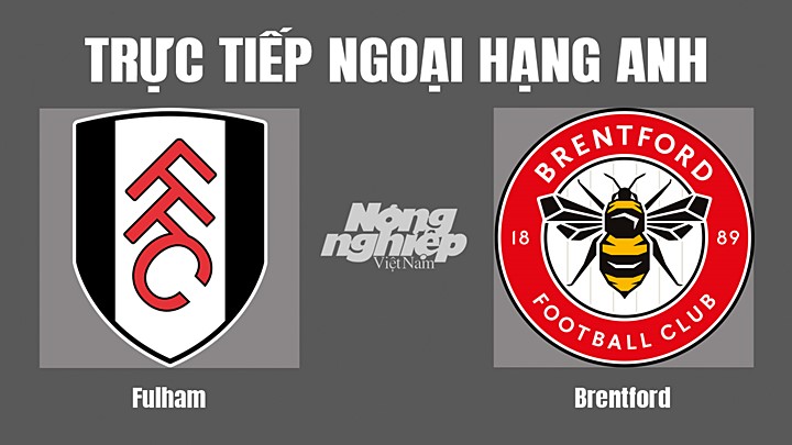 Trực tiếp bóng đá Ngoại hạng Anh giữa Fulham vs Brentford hôm nay 20/8/2022