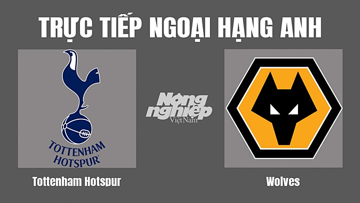 Trực tiếp bóng đá Ngoại hạng Anh giữa Tottenham vs Wolves hôm nay 20/8/2022