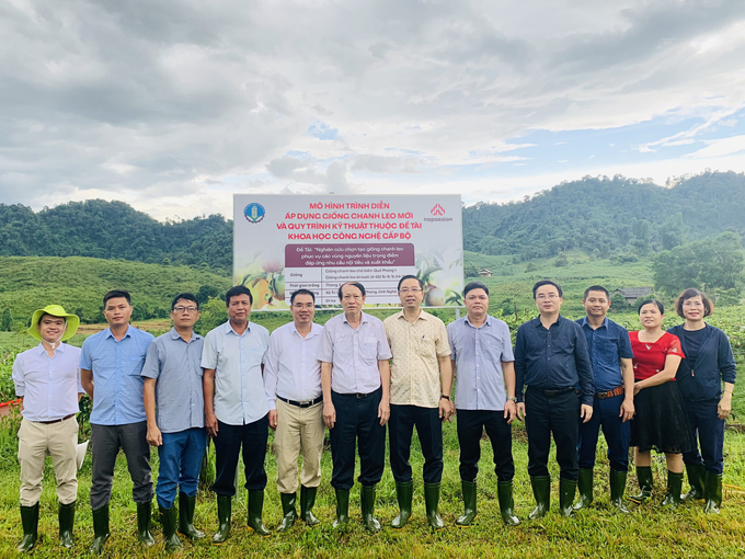 Nafoods là đơn vị đầu tiên tại Việt Nam chọn tạo thành công giống chanh leo bằng phương pháp lai hữu tính và đã được Bộ Nông nghiệp & PTNT cấp bằng bảo hộ độc quyền số 86 VN 2019 và số 87 VN 2019. Ảnh: Thu Hải.