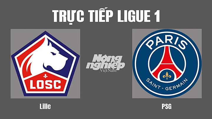 Trực tiếp bóng đá Ligue 1 giữa Lille vs PSG hôm nay 22/8/2022