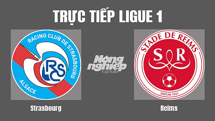 Trực tiếp bóng đá Ligue 1 giữa Strasbourg vs Reims hôm nay 21/8/2022
