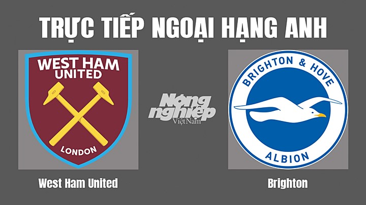 Trực tiếp bóng đá Ngoại hạng Anh giữa West Ham vs Brighton hôm nay 21/8/2022