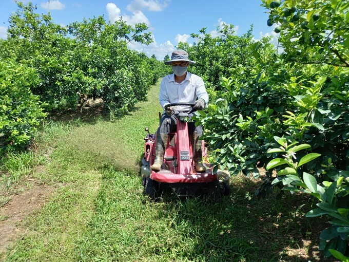 Cơ giới hóa trong sản xuất cây ăn trái tại ĐBSCL đạt trên 70%. Ảnh: Minh Đảm.