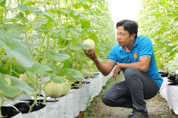 Can Tho expects the first quality organic agricultural products in the Mekong Delta from 2021 to 2025. Photo: Le Hoang Vu.