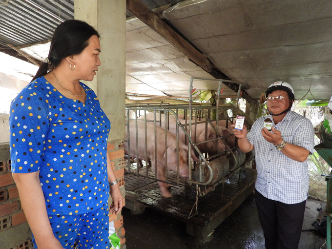 Ông Bình tích cực chia sẻ kỹ thuật chăn nuôi cho chị Minh và bà con trong vùng. Ảnh: Trần Trung.