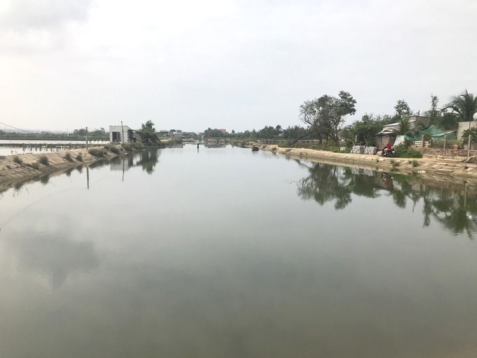Ở vùng nuôi tôm Đông Điền, xã Phước Thắng (huyện Tuy Phước, Bình Định) có mương dẫn nước vào và mương xả thải riêng biệt. Ảnh: V.Đ.T.