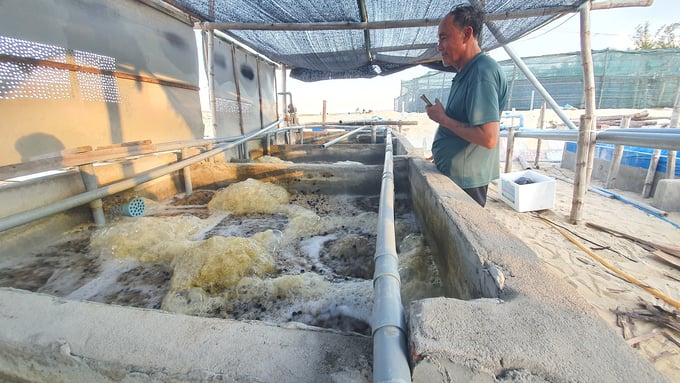 Hiện nay, một số hộ nuôi tôm ở Quảng Nam rất chú trọng đến việc xử lý nguồn nước trước và sau khi thả tôm giống. Ảnh: L.K.