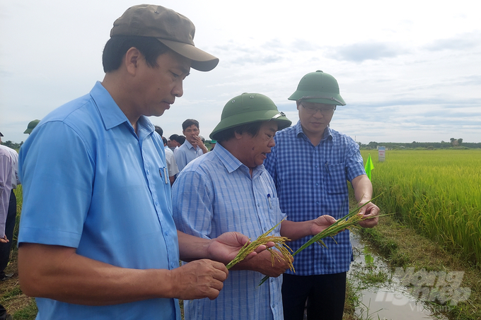 Ông Trần Thanh Hiền, Phó Giám đốc Sở Nông nghiệp và Phát triển nông thôn tỉnh Quảng Trị (đứng giữa) đề nghị đưa Hà Phát 3 vào cơ cấu bộ giống của tỉnh. Ảnh: Võ Dũng.