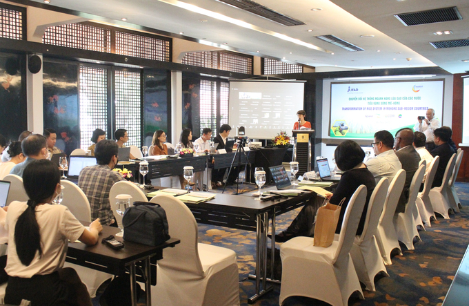 Hội thảo Chuyển đổi hệ thống ngành hàng lúa gạo của các nước tiểu vùng sông MeKong diễn ra chiều 26/8. Ảnh: Trung Quân.