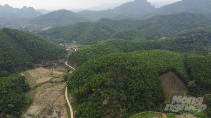 Với tỷ lệ che phủ rừng cao nhất cả nước lên tới 73%, Bắc Kạn có rất nhiều lợi phát triển kinh tế lâm nghiệp, đặc biệt là chế biến sâu lâm sản. Ảnh: Toán Nguyễn.