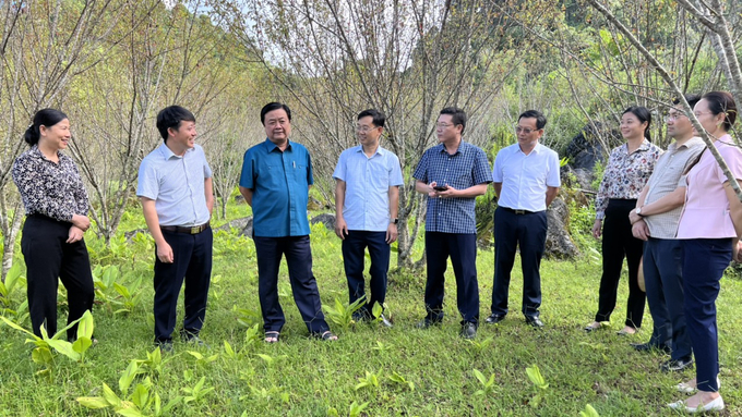 Bộ trưởng Lê Minh Hoan trao đổi với lãnh đạo tỉnh Lào Cai và các cán bộ ngành nông nghiệp. Ảnh: T.L