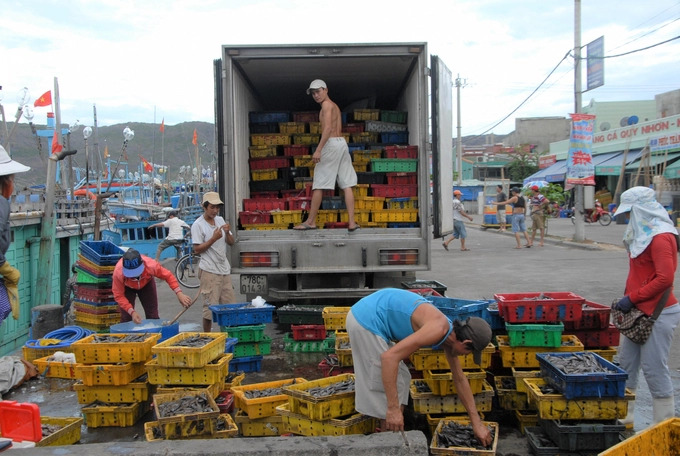 Fishery products are purchased by traders at Quy Nhon fishing port (Binh Dinh province) .Photo: V.D.T.