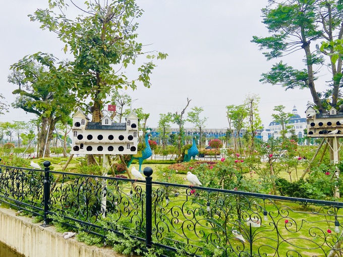 Không gian ngập tràn sắc xanh tại KĐT Danko City, TP. Thái Nguyên.