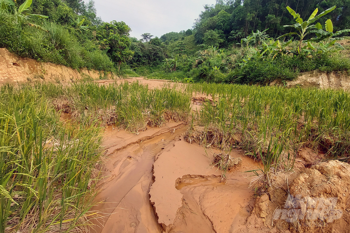 Khu vực miền núi tỉnh Quảng Trị thường xuyên chịu thiệt hại do lũ ống lũ quét. Ảnh: VD.