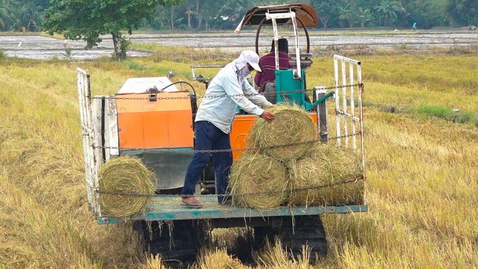 The crop production sector has nearly 89 million tons of post-harvest by-products. Photo: Kim Anh.