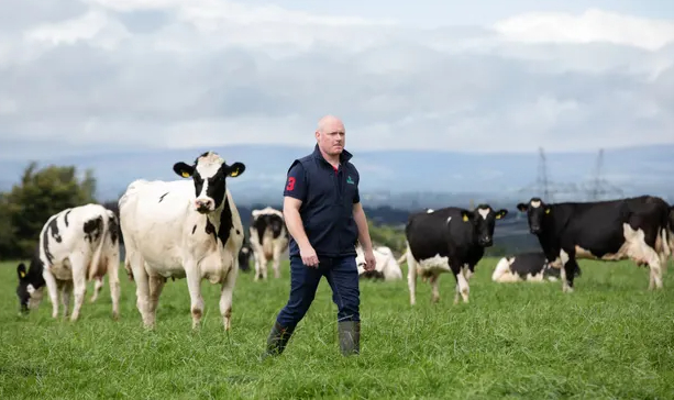 Donald Scully walks among the cattle on his dairy farm in Ballyheyland, County Laois. Photo: Patrick Bolger