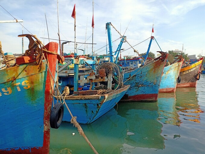 Nhiều tàu cá Bình Thuận nằm bờ vì không mua được dầu để vươn khơi. Ảnh: KS.