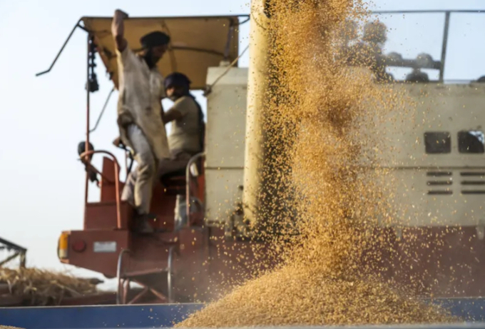 India’s move to staunch wheat exports came on the back of soaring global prices. Photo: Prashanth Vishwanathan/Bloomberg