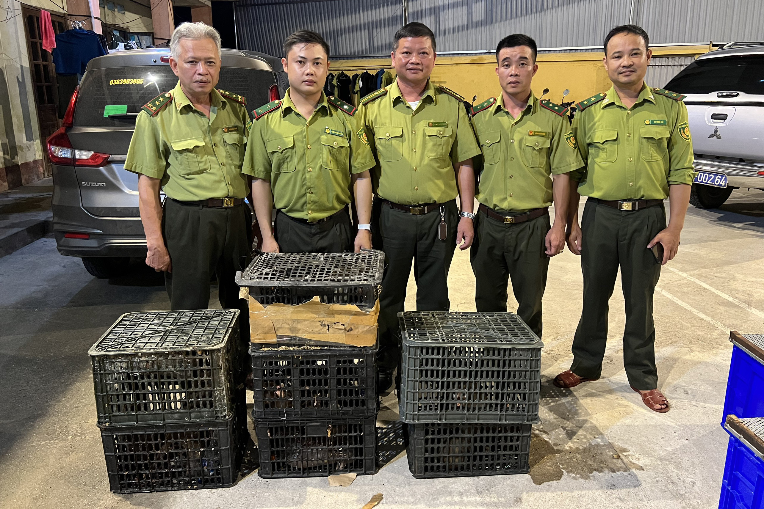 Hiện các cá thể khỉ vàng đã được bàn giao cho Trung tâm Cứu hộ, Bảo tồn và Phát triển sinh vật (VQG Cúc Phương). Ảnh: VQG Cúc Phương.