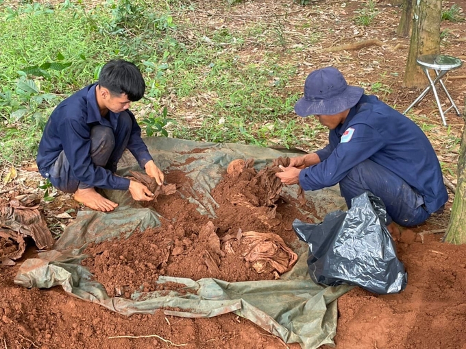 Công tác tìm kiếm, cất bốc hài cốt liệt sỹ của đội K72 tại xã Minh Đức, huyện Hớn Quản.