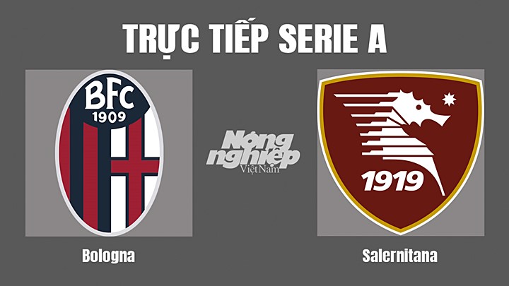 Trực tiếp bóng đá Serie A mùa giải 2022/23 giữa Bologna vs Salernitana hôm nay 2/9