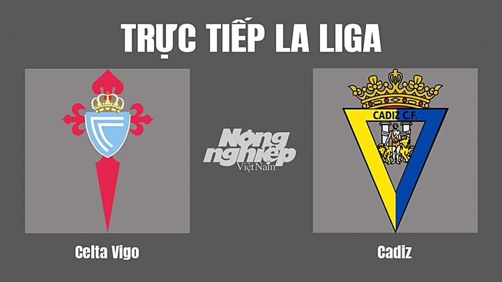 Trực tiếp bóng đá La Liga 2022/23 giữa Celta Vigo vs Cadiz hôm nay 3/9/2022