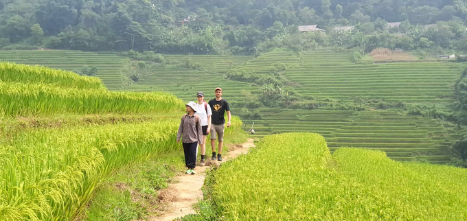 Du khách nước ngoài rất thích thú với việc khám phá không gian văn hóa các dân tộc ở Sa Pa. Ở đây còn giữ được nhiều nét văn hóa của bà con dân tộc thiểu số từ tập quán canh tác, tới cuộc sống sinh hoạt hằng ngày...